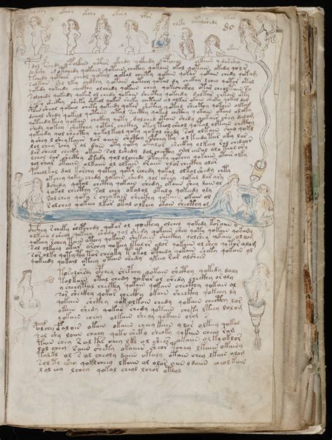 The Voynich Gallery The Complete Manuscript