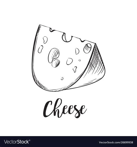 Cheese line art handdrawn Royalty Free Vector Image