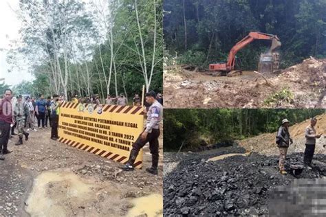 Kalimantan Timur Selatan Dan Tengah Sudah Dikuasai Raksasa