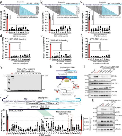 Dna Plasmids Addgene Inc Bioz