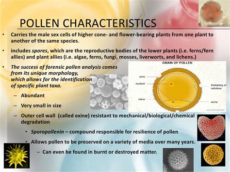 Forensic Palynology