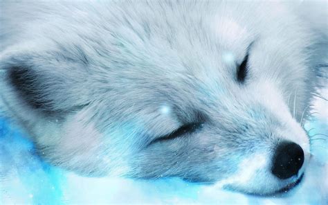 Snow Baby Wolves Wallpapers - Wallpaper Cave