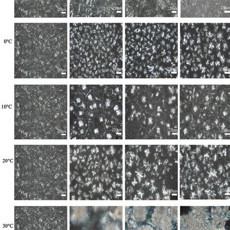 Pdf Effect Of Temperature On The Crystalline Form And Fat Crystal