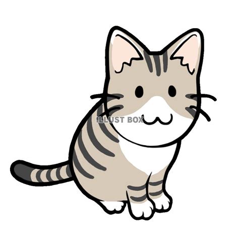 無料イラスト お座りする猫 キジ白猫