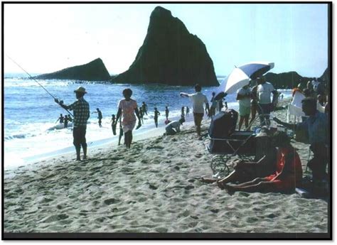 Martins Beach: California sues billionaire over public access - Los ...