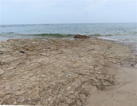 Seahouses To Beadnell Rocky Shore Terracotta Buff Flickr