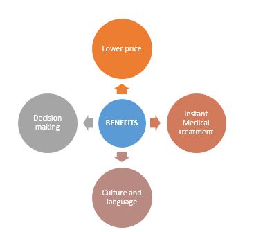 Pros And Cons Of Medical Tourism | EdhaCare