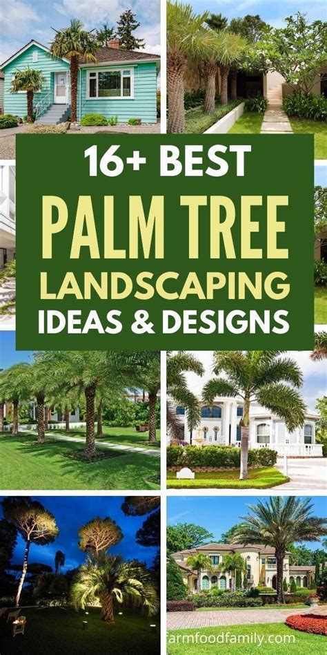 16 Best Palm Tree Landscaping Ideas And Designs For Your Yard Palm Trees Landscaping Palm