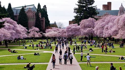 Petition · UW: Reallocate graduation requirements to emphasize the ...