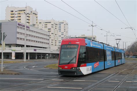 Solaris Tramino S B