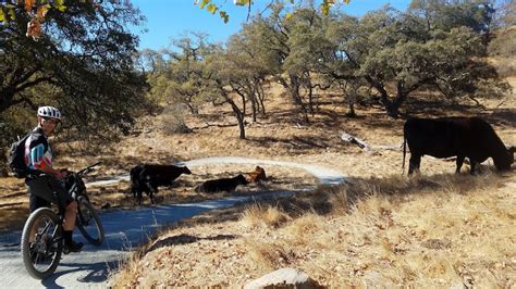 Calero County Park Mountain Biking Trails | Trailforks