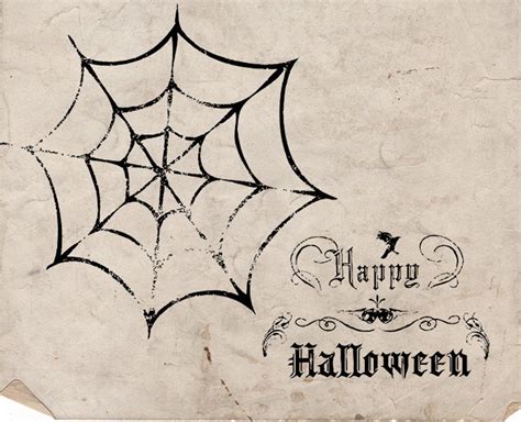 Halloween Spider Web Silhouette Illustration Antique Style Spider Web ...