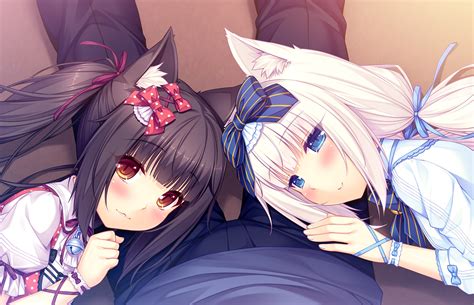 Chocola Nekopara Vanilla Nekopara Wallpaper Resolution 1920x1239 Id