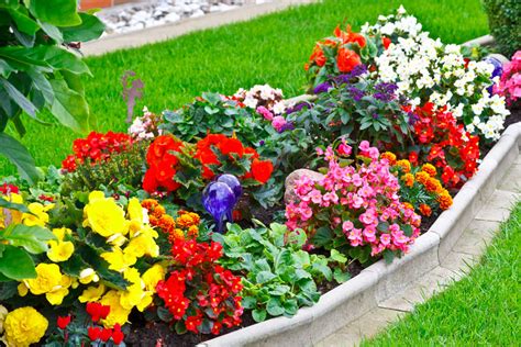 Aiuole Fiorite 15 Ispirazioni Per Un Giardino A Colori Ispiratevi