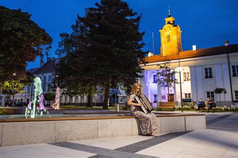 Rewitalizacja Zabytkowego Centrum Rawy Mazowieckiej Zagospodarowanie