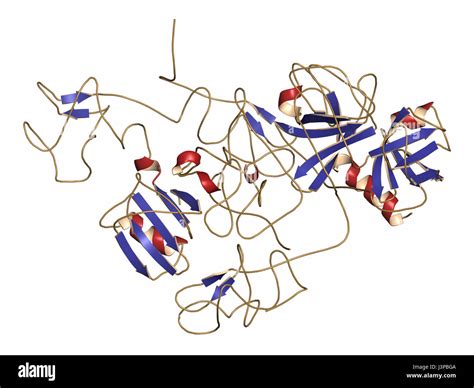 Plasmin hi-res stock photography and images - Alamy