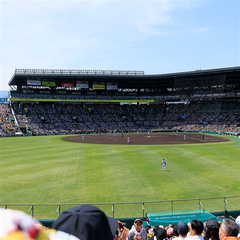 hanshin koshien stadium season seat