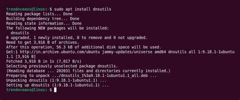 How To Install And Use Dig And Nslookup Commands In Linux For DNS