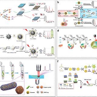 A A Nitrile Mediated Sers Aptamer Sensor For The Detection Of