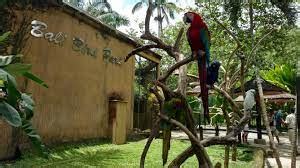 Tempat Wisata Edukasi Di Bali Untuk Company Outing