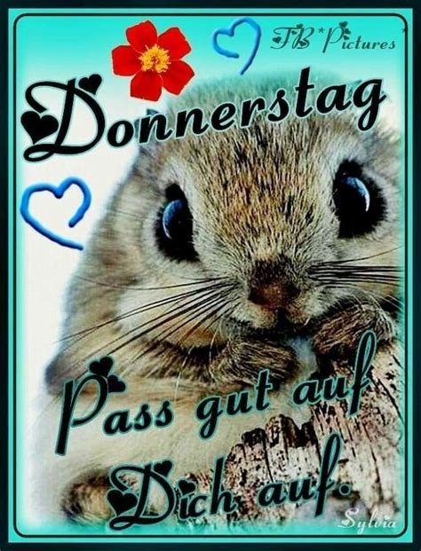 Pin Von Wally Auf Donnerstag Guten Morgen Donnerstag Donnerstag