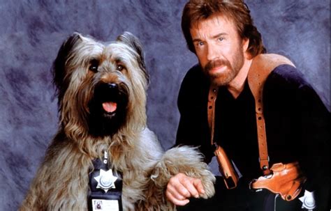 How Did This Get Made? TOP DOG (An Oral History) – /Film