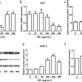 Dysregulation Of Cox Pge And Filaggrin In Mouse Lungs Upon Pm