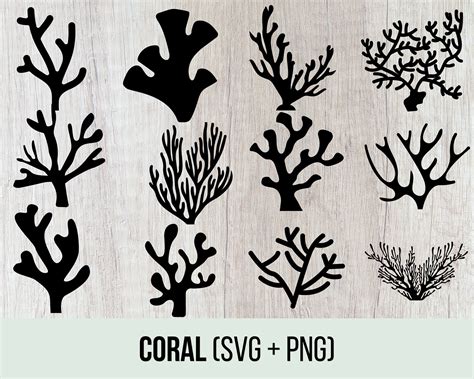 Coral SVG Coral Reef Svg Coral PNG Coral SVG Bundle Cut - Etsy Ireland