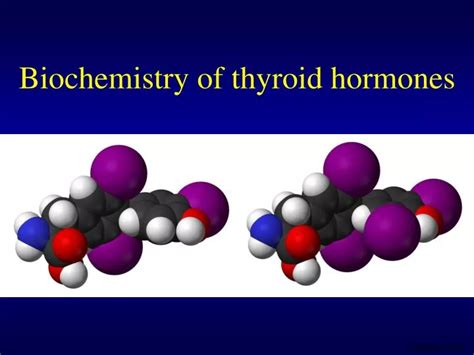 Ppt Biochemistry Of Thyroid Hormones Powerpoint Presentation Free