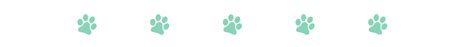 10 Best Bubble Backpacks For Cats In 2024 Reviews And Top Picks Catster