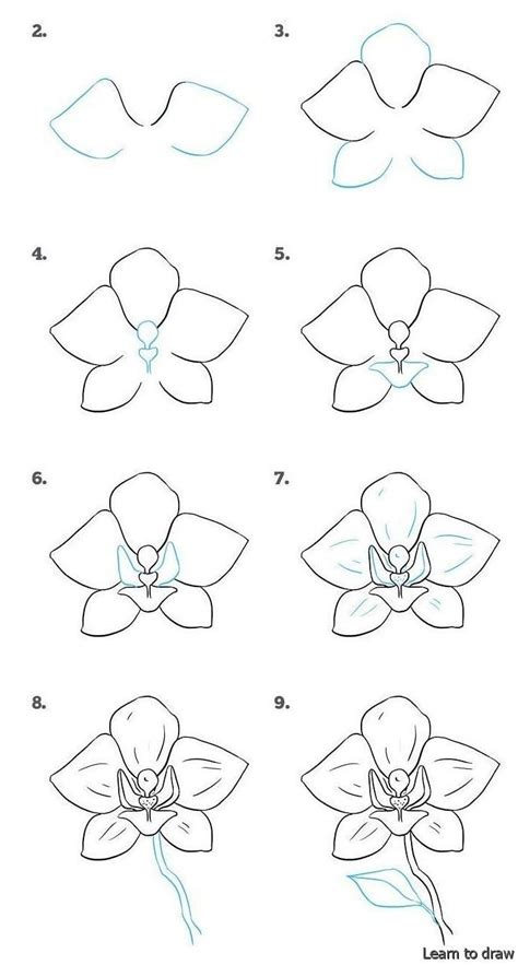 Place The Steps For Wiring Flowers In The Correct Order Pin