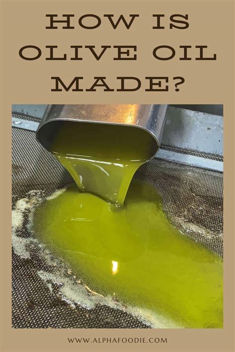 How Is Olive Oil Made Extra Virgin Olive Oil Guide Faqs