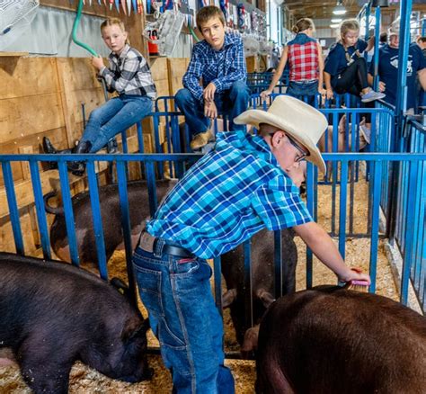 Photos From The 2022 Ozaukee County Fair In Cedarburg