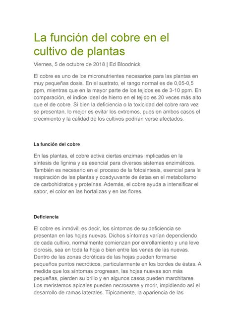 La Funci N Del Cobre En El Cultivo De Plantas La Funci N Del Cobre En