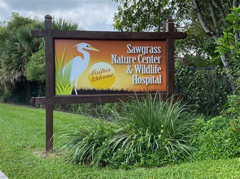 Sawgrass Nature Center & Wildlife Hospital Named Media Partner Of ...