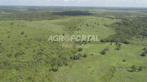 Fazenda Venda No Par Capit O Po O Ha Agroportal