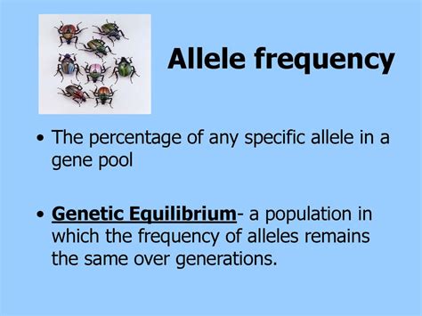 Population Genetics Ppt Download