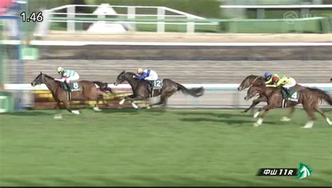 中山牝馬s よっしーの競馬日記