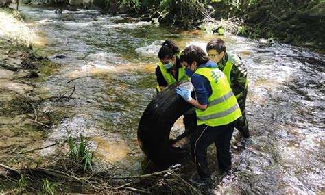 Nova Xornada De Recollida De Lixo No R O Lo A En Ourense