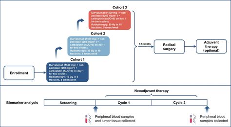 Neoadjuvant Low Dose Radiotherapy Plus Durvalumab And Chemotherapy For