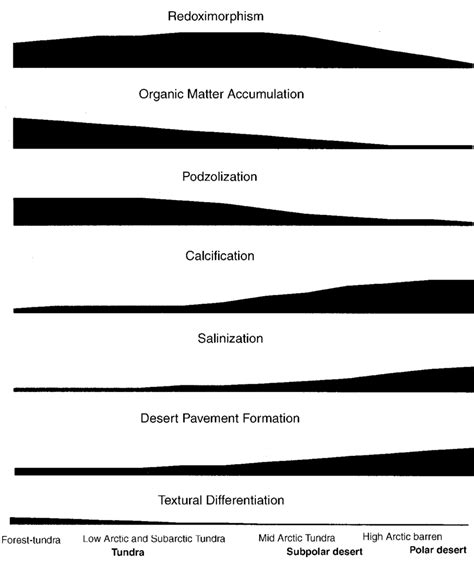 1.1. Pedogenic processes in the Arctic: qualitative estimation of their ...