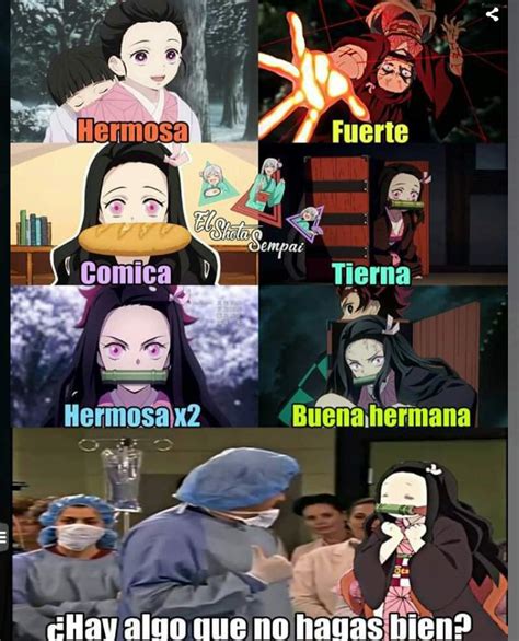 2 Memes 2 Nezuko • Kimetsu No Yaiba Amino • Amino