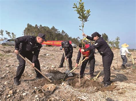 植树添绿正当时