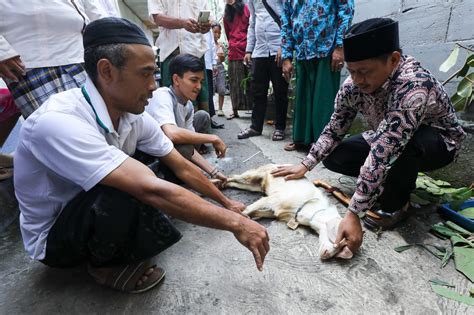 Santri Ganjar Gelar Pelatihan Penyembelihan Hewan Kurban