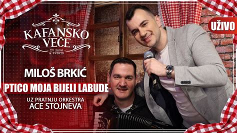 Milos Brkic Ptico Moja Bijeli Labude Uzivo Ork Ace Stojneva