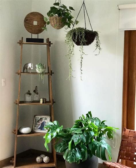 10 idées pour mettre nos plantes en valeur Les idées de ma maison