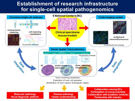 Establishment Of Research Infrastructure For Single Cell Spatial