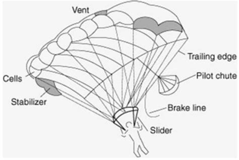 How Do Skydivers Know Where To Land