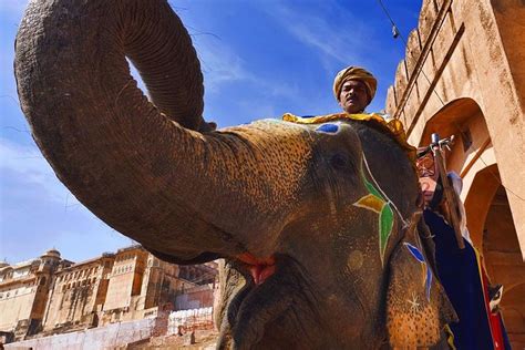 Tripadvisor Golden Triangle Tour Jours Nuits De Delhi Propos Par