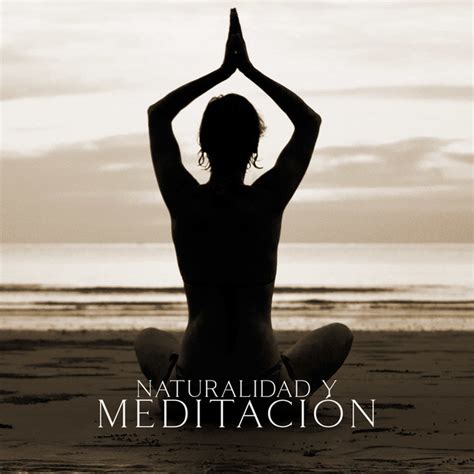 Naturalidad y Meditación Siente una Profunda Armonía y Tranquilidad